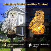 🦉Brighten your garden path today Solar Owl Pathway Light