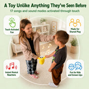 Musical Sensory Plush Toys